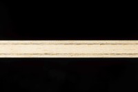 Andro Synteliac ZCI OFF