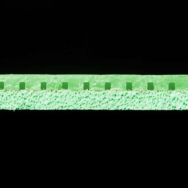 Andro Rasanter R45 Andro SE - tabletennisstore.eu